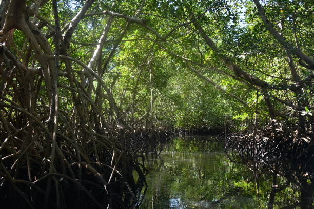 Découverte de la nature